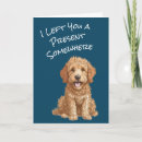 Zoek naar goldendoodle kaarten Grappig