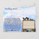 Zoek naar wilde wolven briefkaarten Wolf