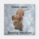 Zoek naar teckel magneten Dier