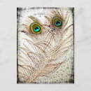 Zoek naar peacock feather briefkaarten Vogels