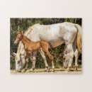 Zoek naar bruine paarden puzzels Voor iedereen