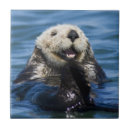 Zoek naar otter tegels Ocean