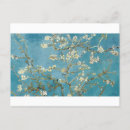 Zoek naar almond blossom briefkaarten Flowers