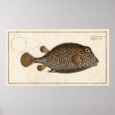 Zoek naar duikers posters Voor hem