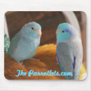 Zoek naar vliegende vogel muismatten Vogels