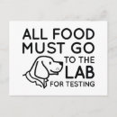 Zoek naar laboratorium briefkaarten Labrador