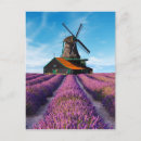 Zoek naar provence briefkaarten Frankrijk