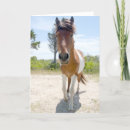 Zoek naar poney kaarten uitnodigingen Pony
