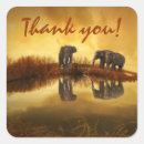 Zoek naar olifant stickers Dank u