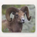 Zoek naar archer muismatten Wild