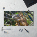 Zoek naar hagedis muismatten Tropisch