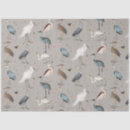 Zoek naar reiger Elegant