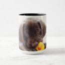 Zoek naar chocolade labrador mokken Puppy