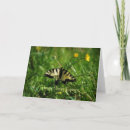 Zoek naar lente equinox posters Natuur