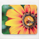 Zoek naar extreem muismatten Dag