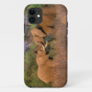 Zoek naar fauna iphone hoesjes Dier