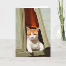 Zoek naar cats kaarten Voor huisdieren