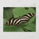 Zoek naar langwerpig briefkaarten Voor iedereen