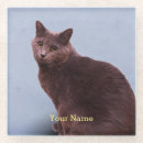 Zoek naar russisch onderzetters Kat