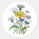 Zoek naar botanische tekening stickers Vintage