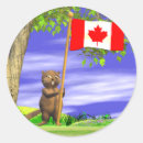 Zoek naar grappige bever stickers Canada
