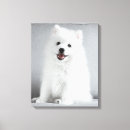 Zoek naar pluizige hond kunst Honden
