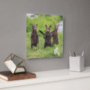 Zoek naar baby jongen klokken Beer