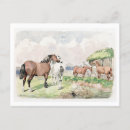 Zoek naar paard briefkaarten Waterverf