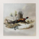 Zoek naar fazant puzzels Natuur