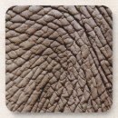 Zoek naar olifant onderzetters Natuur