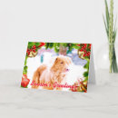 Zoek naar toller kaarten Retriever