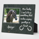 Zoek naar verlies paard geschenken Foto