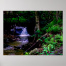 Zoek naar waterval posters Wandelen