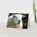 Zoek naar rammen posters Ramram