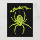 Zoek naar spiders briefkaarten Spin