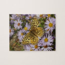 Zoek naar asters puzzels Paars