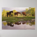 Zoek naar het paard posters Equestrian