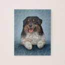 Zoek naar australian shepherd puzzels Schattig
