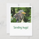 Zoek naar reiger briefkaarten Vogel