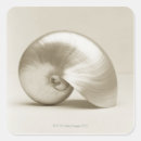 Zoek naar zeewier stickers Schelp