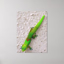 Zoek naar gekko kunst Reptiel