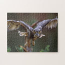 Zoek naar vliegende vogel puzzels Vlucht