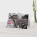 Zoek naar gieren posters Voor hem