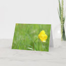 Zoek naar boterbloem kaarten De lente