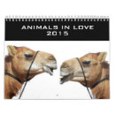 Zoek naar dieren kalenders Katten