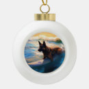 Zoek naar belgische herder ornamenten Voor iedereen