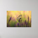 Zoek naar stilte canvas prints Natuur