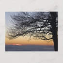 Zoek naar emotie briefkaarten Natuur