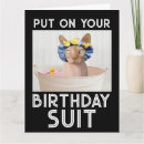 Zoek naar cats kaarten Kattenliefhebbers