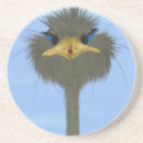 Zoek naar struisvogels onderzetters Schattig